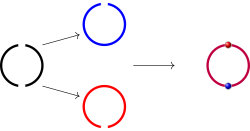 Topology image10.svg